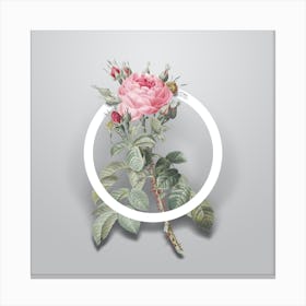 Vintage Four Seasons Rose Minimalist Botanical Geometric Circle on Soft Gray n.0100 Canvas Print