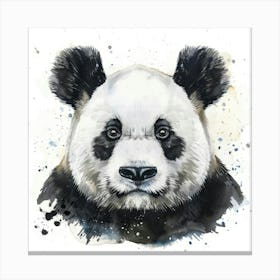 Panda Bear 2 Canvas Print