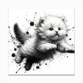 Cat In The Air Canvas Print
