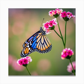 Monarch Butterfly 2 Canvas Print