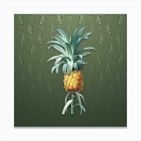 Vintage Pineapple Botanical on Lunar Green Pattern n.1195 Canvas Print