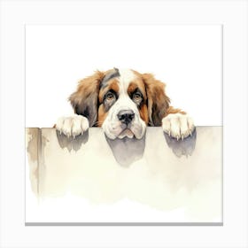 St Bernard Dog Canvas Print