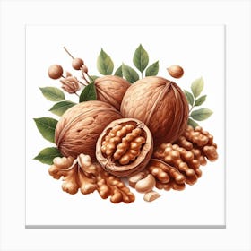 Walnut 2 Canvas Print