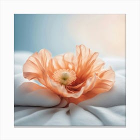 Poppy Flower On A Bed 1 Canvas Print