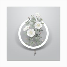 Vintage White Burnet Roses Minimalist Botanical Geometric Circle on Soft Gray n.0327 Canvas Print