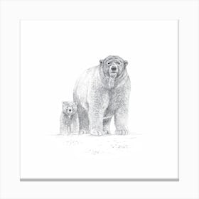 Two Bears Sketch 2 Canvas Print