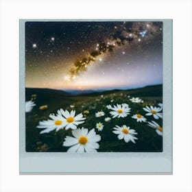 Daisies Canvas Print