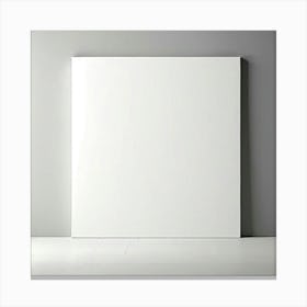 Mock Up Blank Canvas White Pristine Pure Wall Mounted Empty Unmarked Minimalist Space P (15) Canvas Print