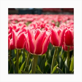 Pink Tulips 1 Canvas Print