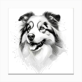 Collie Dog Head - Abstract Line Art Illustration 47 Canvas Print