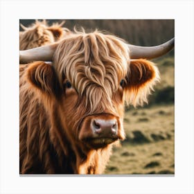 Highland Cow 1 Canvas Print