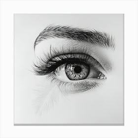 Eye Drawing Canvas Print