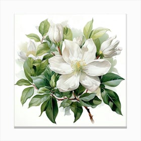 Clematis Canvas Print