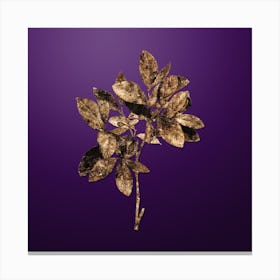 Gold Botanical Eastern Leatherwood on Royal Purple n.4568 Canvas Print