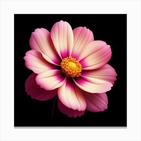 Pink Flower On Black Background Canvas Print