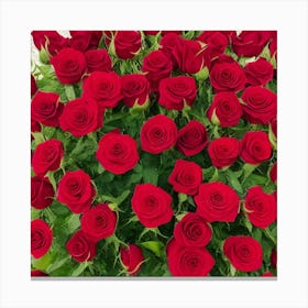 Red Roses Canvas Print