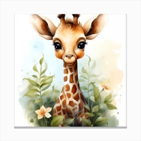 Baby Giraffe Canvas Print