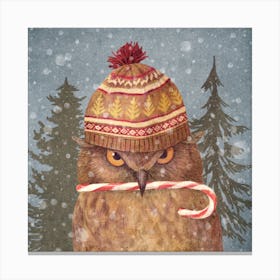 Christmas Owl Canvas Print