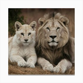 White Lion And Cub Canvas Print