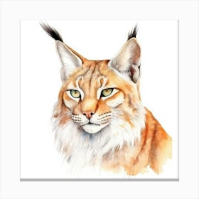 Balkan Lynx Cat Portrait 3 Canvas Print