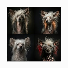 Portrait Of Chinese Crested Dogs and others Canvas Print