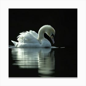 Pretty Swan Canvas Print