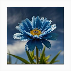 Blue Flower Canvas Print