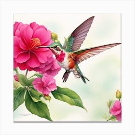 Hummingbird Canvas Print