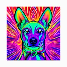 Psychedelic Dog 3 Canvas Print