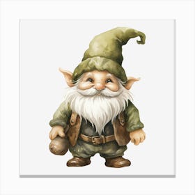 Gnome 15 Canvas Print