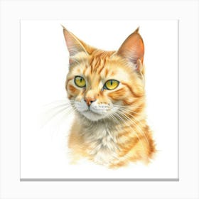 California Spangled Gold Cat Portrait Canvas Print