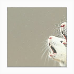 White Lab Rats Canvas Print