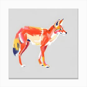 Ethiopian Wolf 04 1 Canvas Print