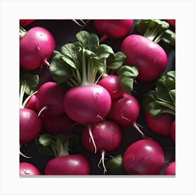 Radishes 67 Canvas Print