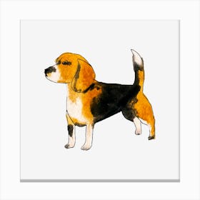 Beagle Canvas Print