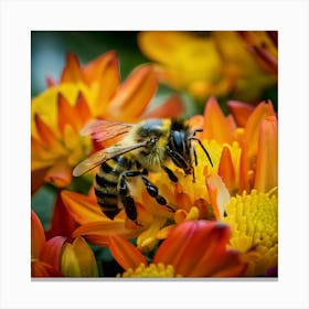 Bee On A Flower 2 Canvas Print