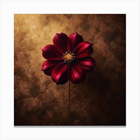 Dahlia Flower 7 Canvas Print