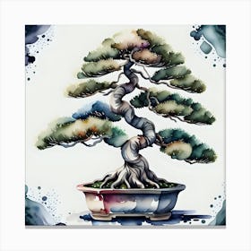 Bonsai Tree Canvas Print