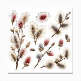 Flowers of Catkin 3 Canvas Print