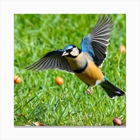Bird Natural Wild Wildlife Tit Sparrows Sparrow Blue Red Yellow Orange Brown Wing Wings (38) Canvas Print