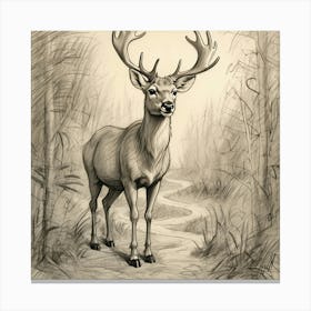 Deer In The Woods 133 Canvas Print