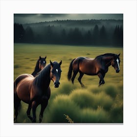 Horses In A Field 23 Canvas Print