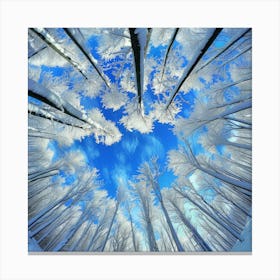 Snowy Forest Photo Canvas Print