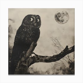 Owl In The Moonlight Canvas Print