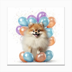 Pomeranian Dog With Balloons 1 Canvas Print