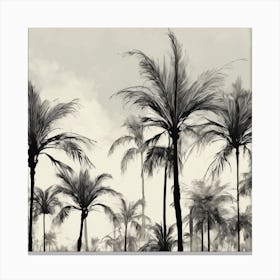 Palm Trees 1 Canvas Print