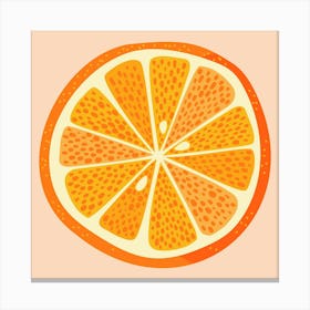 Citrus Orange Fruit Slice Canvas Print
