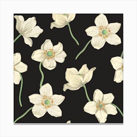 White Flowers On Black Background Canvas Print