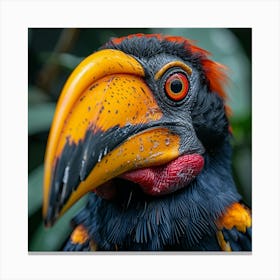 Toucan 12 Canvas Print