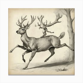 Deer Riding A Deer Canvas Print